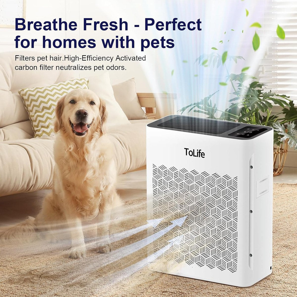 Breathe fresh — made for homes with pets