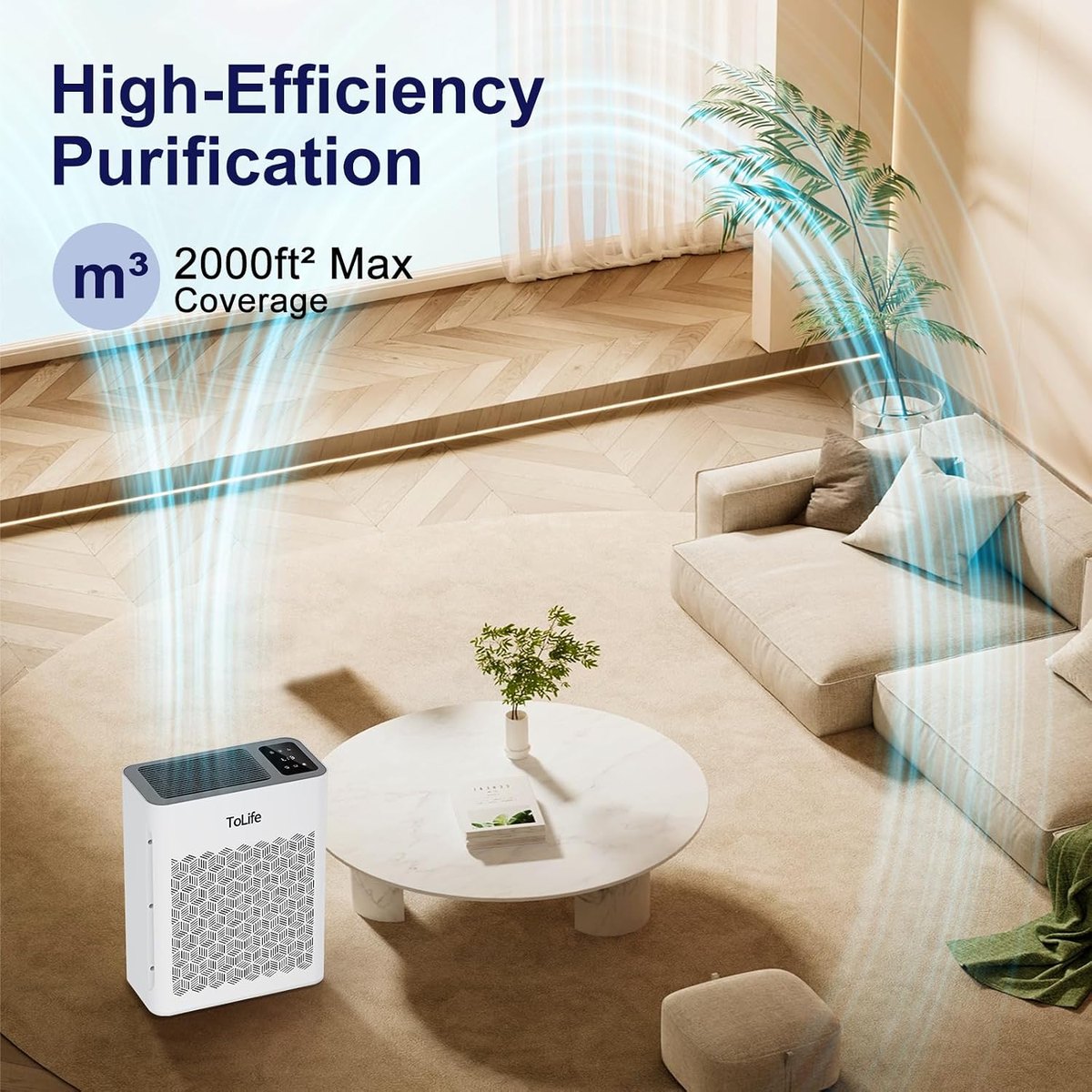 High-efficiency purification